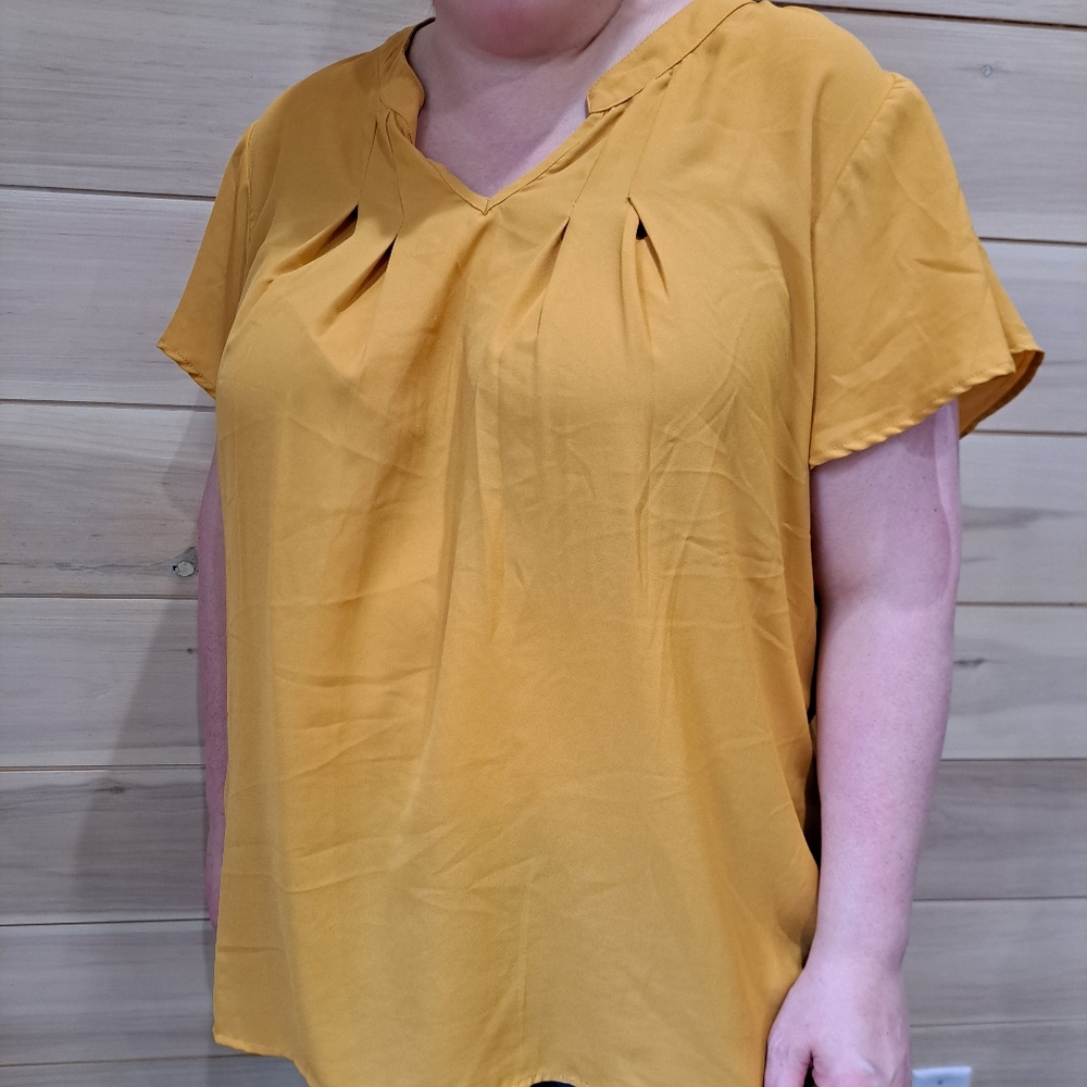 Mileage Blouse sz 3X